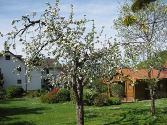 Bildergalerie - Ferienwohnung Rder